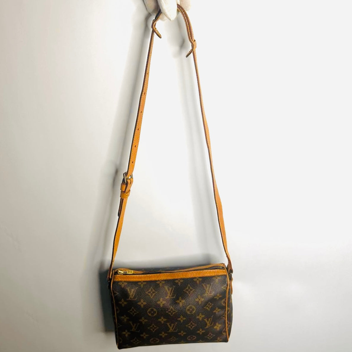 Louis Vuitton LV Tulle Lee Monogram Logo GHW Camera Zip Shoulder Sling Bag
