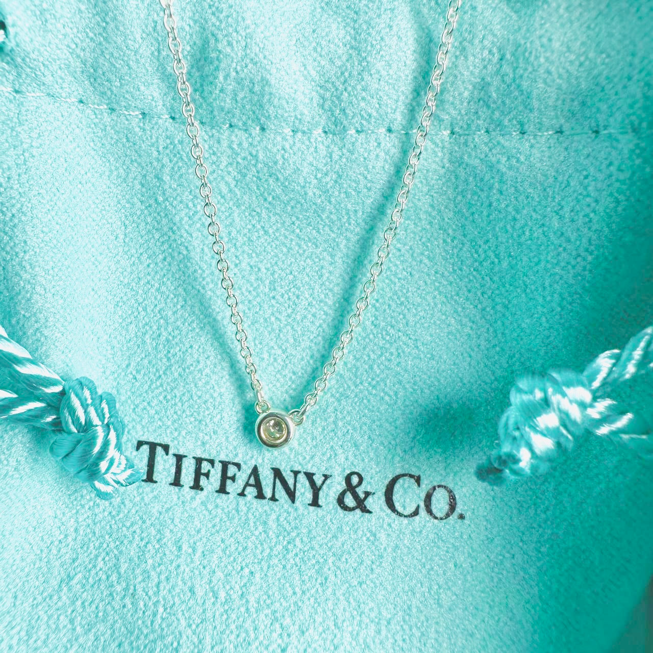 Tiffany & Co T&C By The Yard Elsa Peretti Diamond Pendant 925 Sterling Silver Necklace