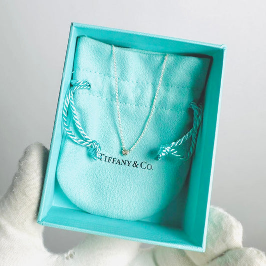 Tiffany & Co T&C By The Yard Elsa Peretti Diamond Pendant 925 Sterling Silver Necklace