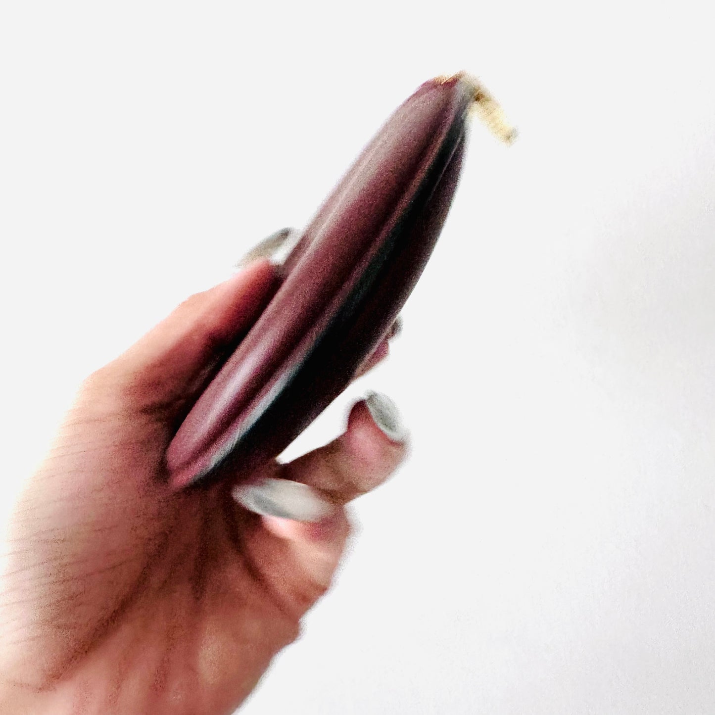 Cartier Must / Mast de Cartier Maroon Burgundy GHW Smooth Leather Round Coin Purse